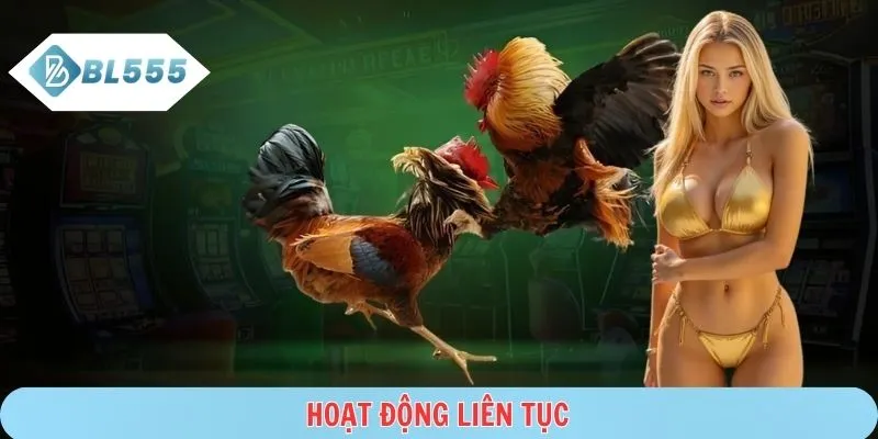 Hệ thống phát sóng trận đấu diễn ra suốt ngày
