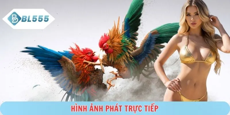 Livestream trận đấu rõ nét và chuyển động mượt